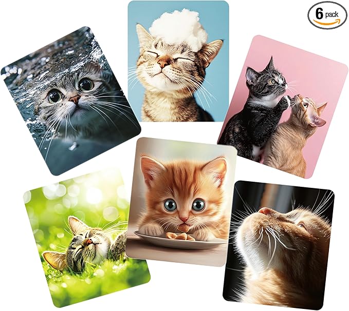 Microfiber Glasses Cleaner Cloth,Cute Cat Cleaning Clothes for Eyeglass,Phone, Screens, Camera Lens -6pcs