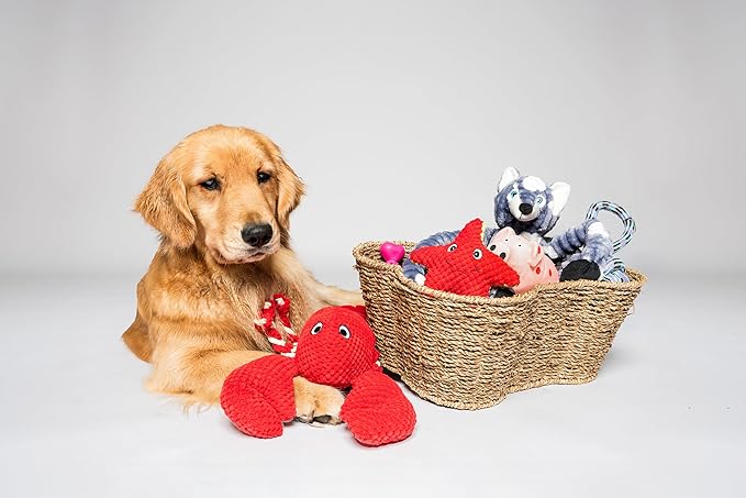 Dog Toy Basket, Bone Shaped Dog Toy Bin, Handmade Pet Organizer And Storage, Toy Box for Cats, (17x13 Seagrass)