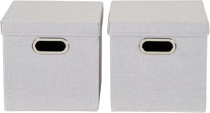 Household Essentials 804-1 Café Cube Bin Storage Set with Lids and Handles | 2 Pack | Silver Linen