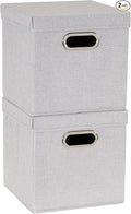Household Essentials 804-1 Café Cube Bin Storage Set with Lids and Handles | 2 Pack | Silver Linen