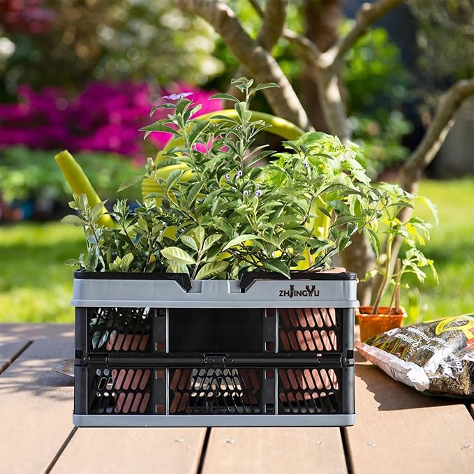 plastic baskets with handles 20L,collapsible crates for storage,14.96"x9.84"x7.87" foldable shopping basket ,foldable crate with Handles for car Classroom Kitchen Bathroom Medicine Milk