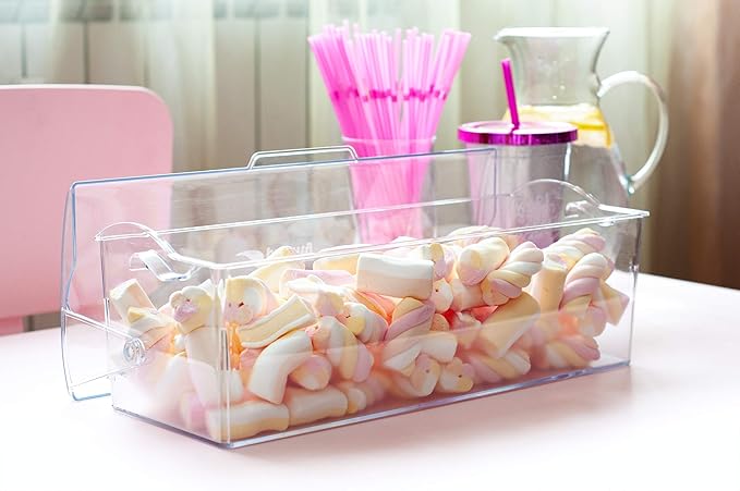 Pikanty Organization Storage Box | 16" Plastic Container with Hinged Lid | Kitchen, Pantry, Office Organizer | Dishwasher Safe | Made in USA