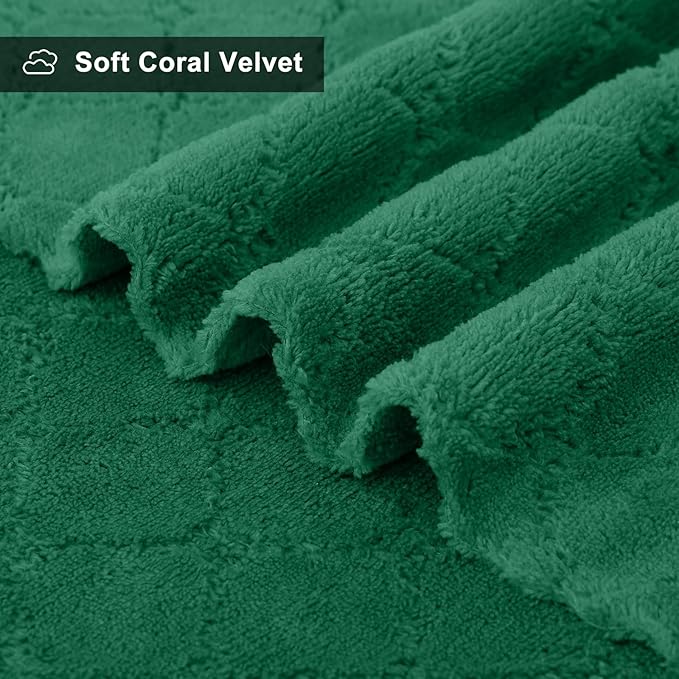 Homaxy 12 Pack Dish Towels for Kitchen (13 x 19 Inches, Dark Green), Super Soft and Absorbent Coral Velvet Dish Cloths for Washing Dishes, Nonstick Oil Fast Drying Microfiber Cleaning Cloth