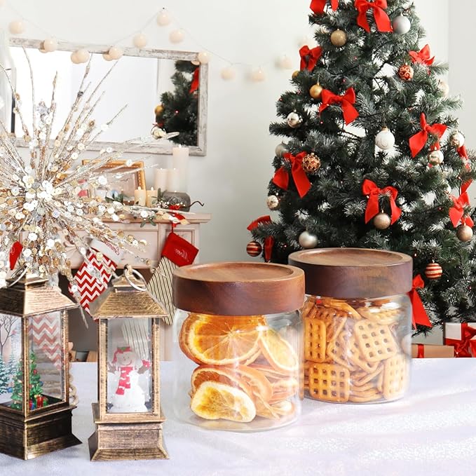 Patoper Glass Coffee Jars Spice Jar Round Storage Canister with Wooden Lid Clear Glass Food Jar for Pantry Sugar Tea Coffee Bean Spice Nuts Cookies Bath Salts (500ml/16oz-2pack)
