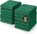 Homaxy 12 Pack Dish Towels for Kitchen (10 x 20 Inches, Dark Green), Super Soft and Absorbent Coral Velvet Dish Cloths for Washing Dishes, Nonstick Oil Fast Drying Microfiber Cleaning Cloth