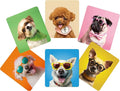Glasses Cleaning Cloth for Eyeglasses - Multicolor Eyeglass Clean Cloths - Lens Cleaning Cloth for Camera, Glasses, Screens, Phones and Delicate Surfaces, Cute Design- 6x7in-6P