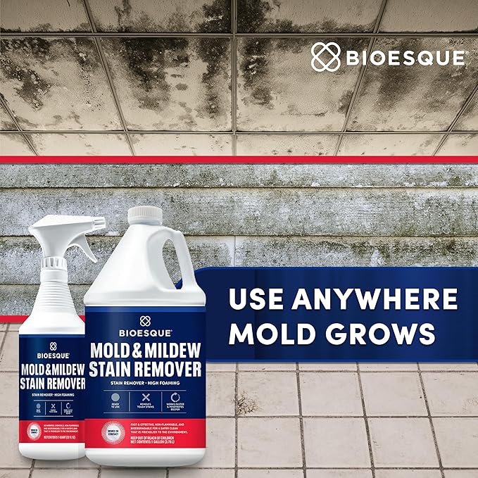 Bioesque Mold & Mildew Stain Remover, 1 Gallon (Pack of 4)