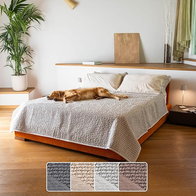 PAULATO BY GA.I.CO. Waterproof Blanket for Bed – Queen Absorbent Couch Cover – Machine Washable Stain-Proof Pad for Large Sofa – Pets Dogs & Cats Friendly Protector - Light Grey