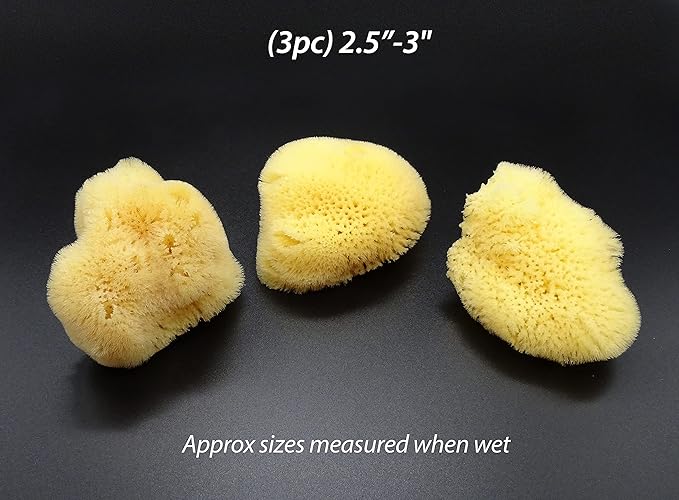 Constantia Beauty® Natural Sea Silk Sponges 12pack, like Cotton Balls, for Cosmetic Use, Makeup Application Blending & Removal, Face & Eye Cleaning, Size 9pc x1.5"-2.5" 3pc x 2.5"-3" Luxury Gift Bag